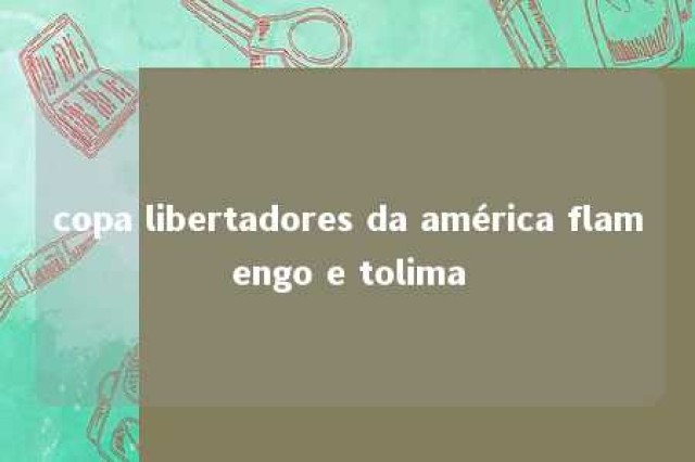 copa libertadores da américa flamengo e tolima 