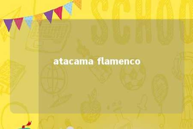 atacama flamenco 