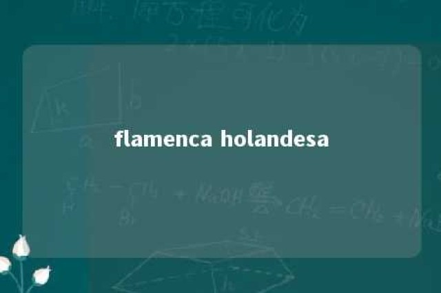 flamenca holandesa 