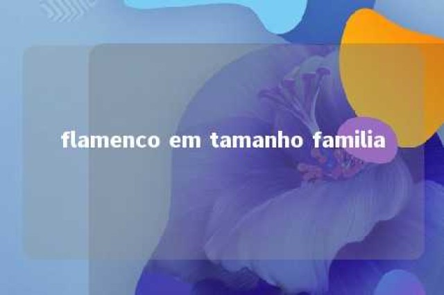 flamenco em tamanho familia 