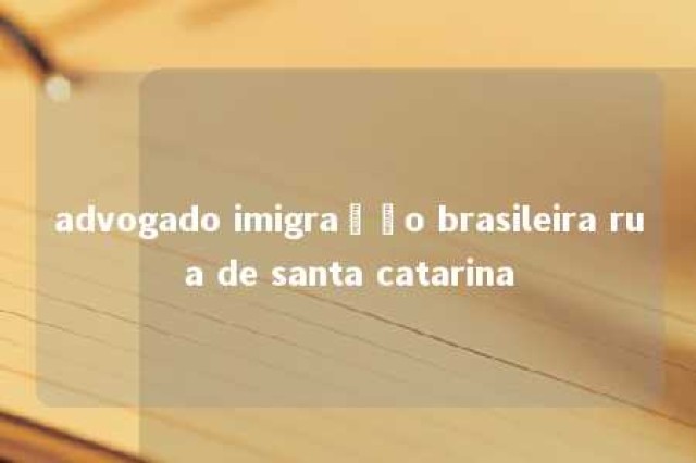 advogado imigração brasileira rua de santa catarina 