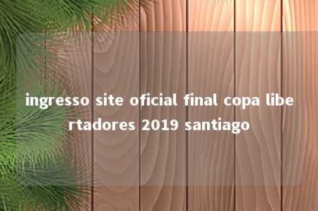 ingresso site oficial final copa libertadores 2019 santiago 