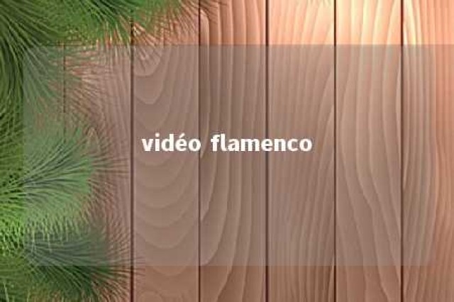 vidéo flamenco 