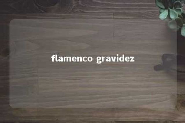 flamenco gravidez 