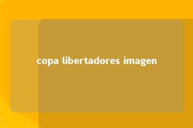 copa libertadores imagen 