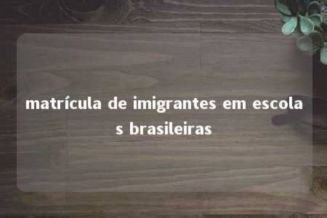 matrícula de imigrantes em escolas brasileiras 