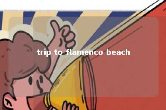 trip to flamenco beach 