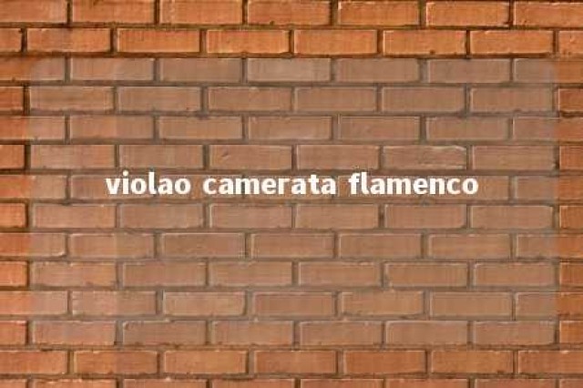 violao camerata flamenco 