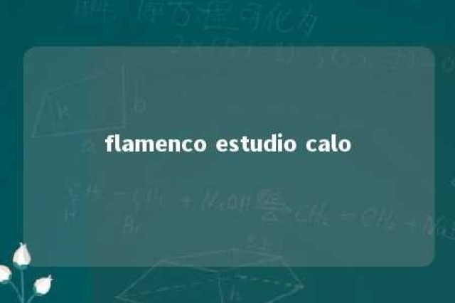 flamenco estudio calo 