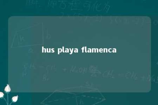 hus playa flamenca 