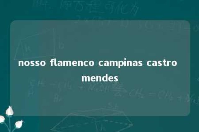 nosso flamenco campinas castro mendes 