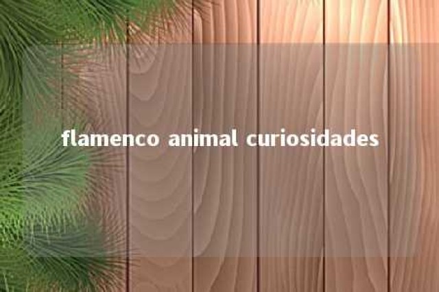 flamenco animal curiosidades 