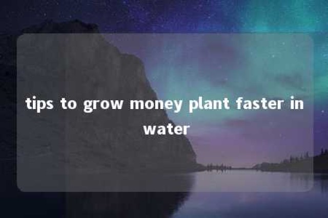 tips to grow money plant faster in water 