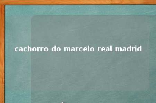 cachorro do marcelo real madrid 