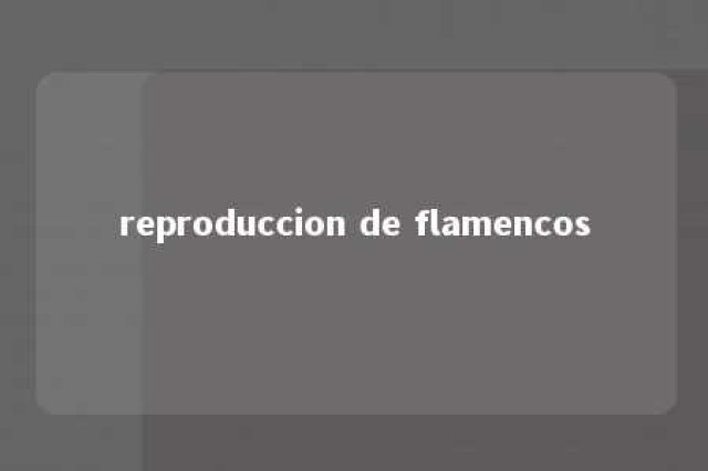 reproduccion de flamencos 