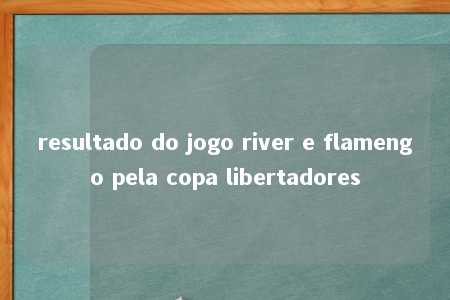 resultado do jogo river e flamengo pela copa libertadores