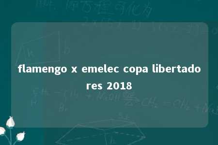 flamengo x emelec copa libertadores 2018