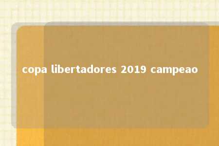 copa libertadores 2019 campeao