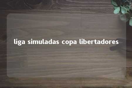 liga simuladas copa libertadores