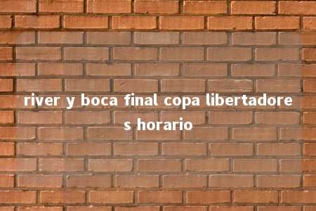 river y boca final copa libertadores horario