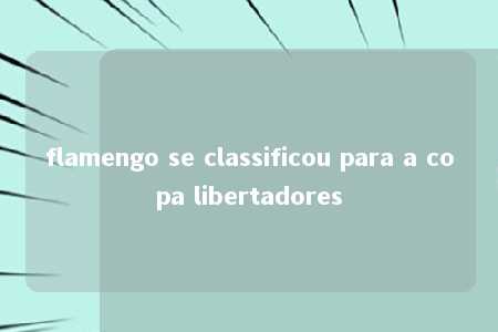 flamengo se classificou para a copa libertadores