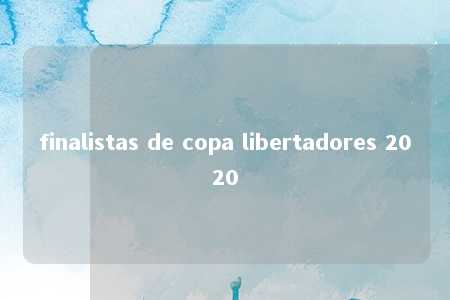 finalistas de copa libertadores 2020