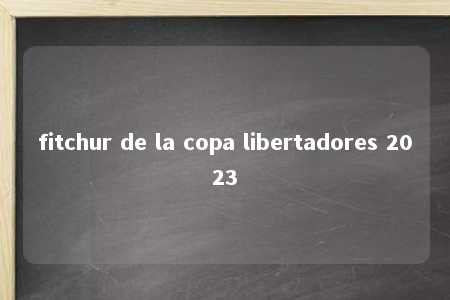 fitchur de la copa libertadores 2023