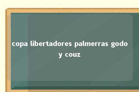 copa libertadores palmerras godoy couz