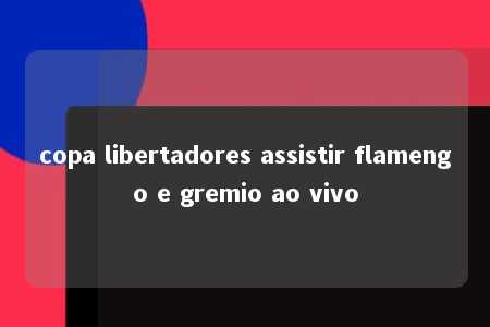 copa libertadores assistir flamengo e gremio ao vivo