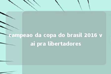 campeao da copa do brasil 2016 vai pra libertadores