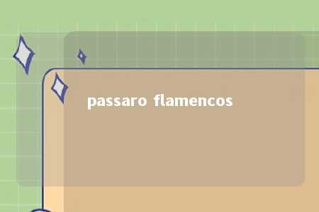 passaro flamencos