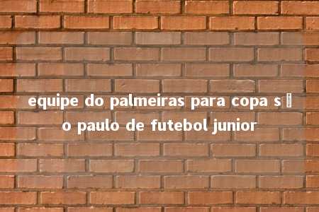 equipe do palmeiras para copa são paulo de futebol junior