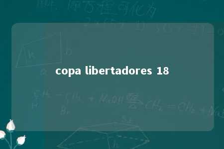 copa libertadores 18