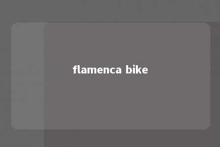 flamenca bike