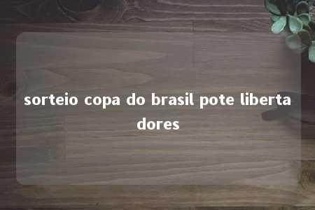 sorteio copa do brasil pote libertadores