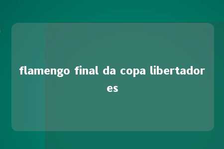 flamengo final da copa libertadores