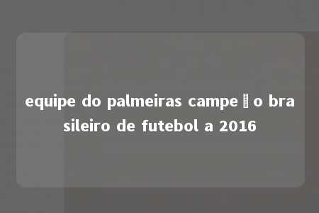 equipe do palmeiras campeão brasileiro de futebol a 2016