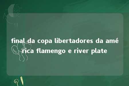 final da copa libertadores da américa flamengo e river plate