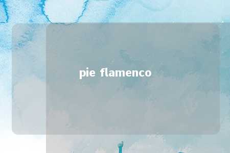 pie flamenco