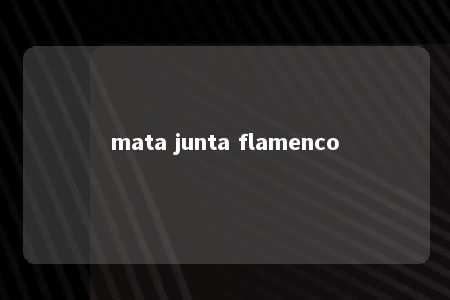 mata junta flamenco