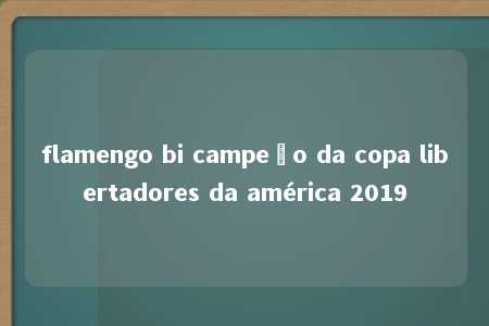 flamengo bi campeão da copa libertadores da américa 2019