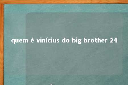 quem é vinícius do big brother 24