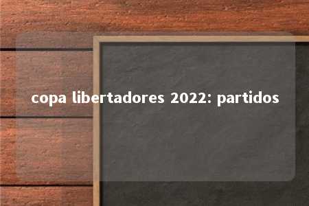 copa libertadores 2022: partidos