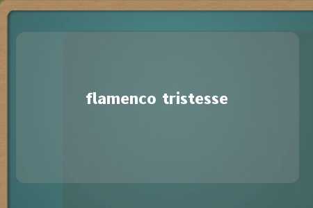 flamenco tristesse