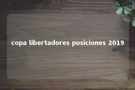 copa libertadores posiciones 2019