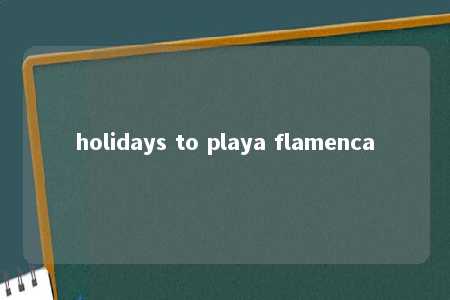 holidays to playa flamenca