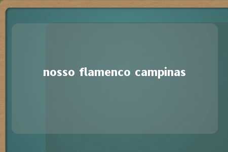 nosso flamenco campinas