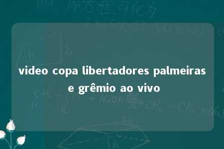 video copa libertadores palmeiras e grêmio ao vivo