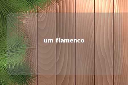 um flamenco