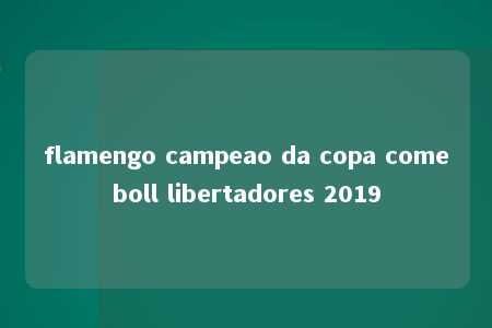 flamengo campeao da copa comeboll libertadores 2019